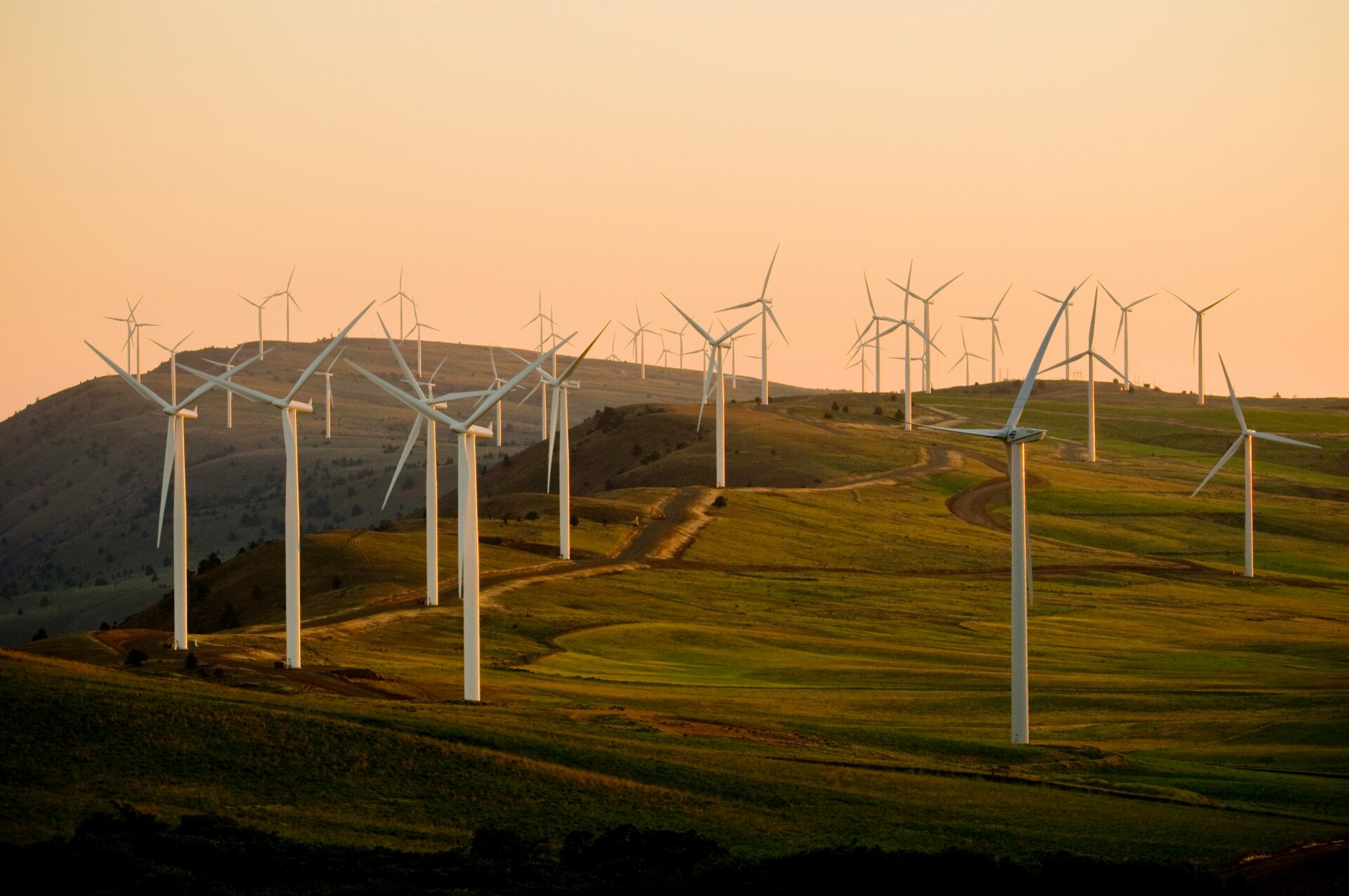 The Role of Technology in Climate Policy and Sustainable Development 