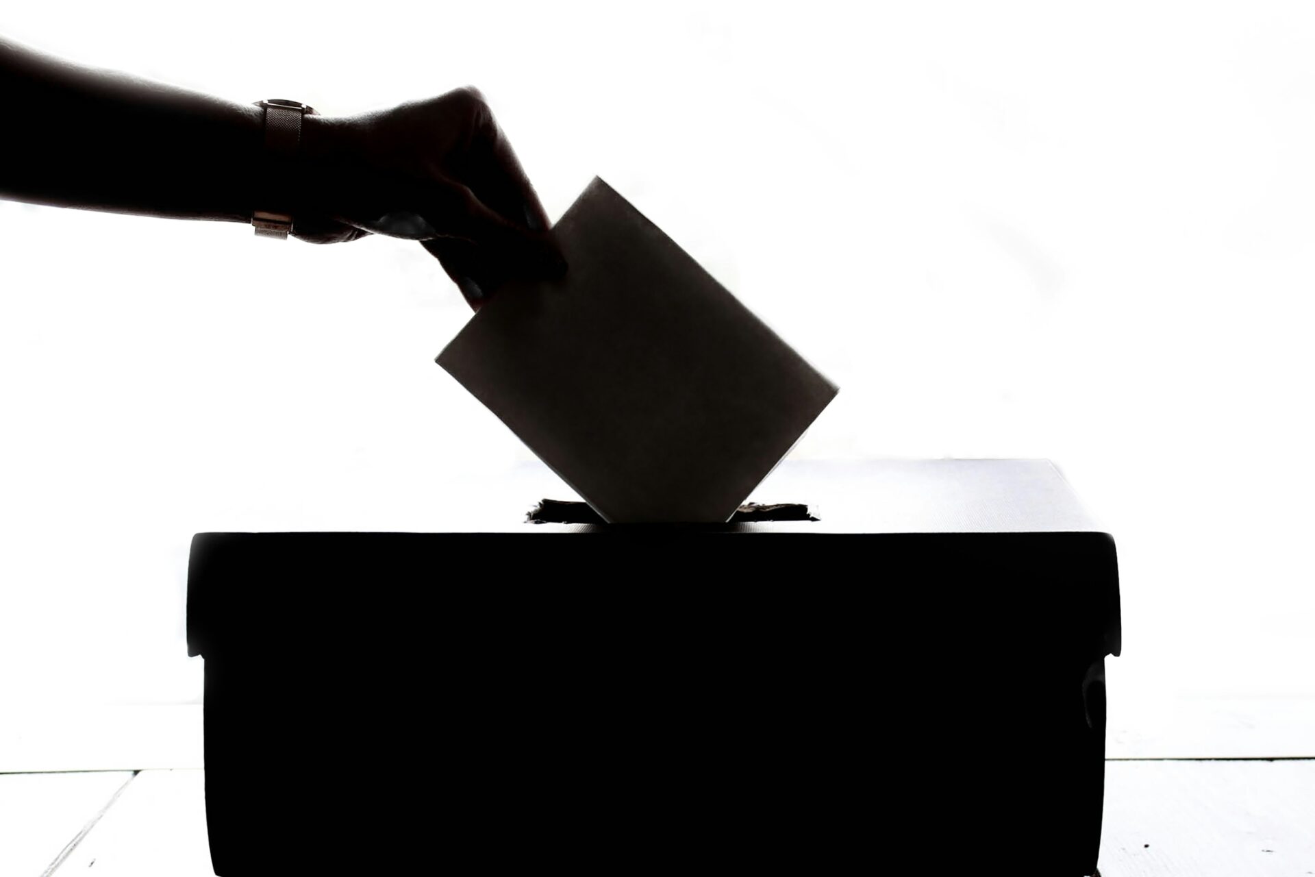 Advancing Democracy Through Participatory Reforms in Legislative Processes