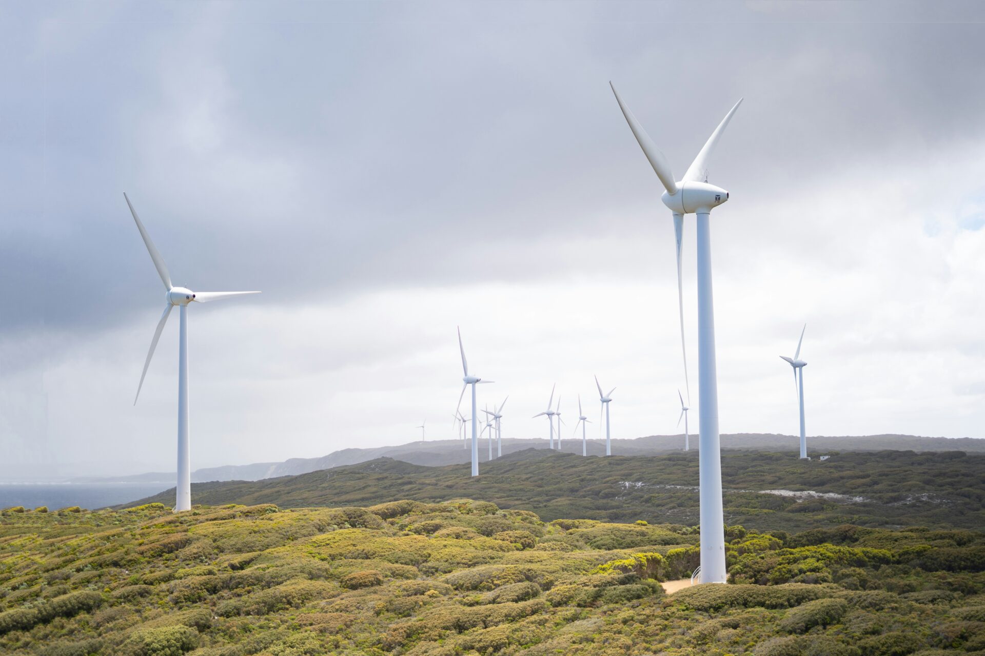 What Is Climate Tech?